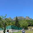 Inicio del camino -al fondo el Puig dels Llops- 
