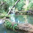 Bañeras naturales propias de la riera de Cogolls 