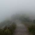 Subiendo al Montcau con esta niebla decidimos visitar la cueva simanya para aprovechar mejor el día 