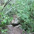 Dejamos el GR a nuestra derecha y nos desviamos hacia la cueva Simanya 