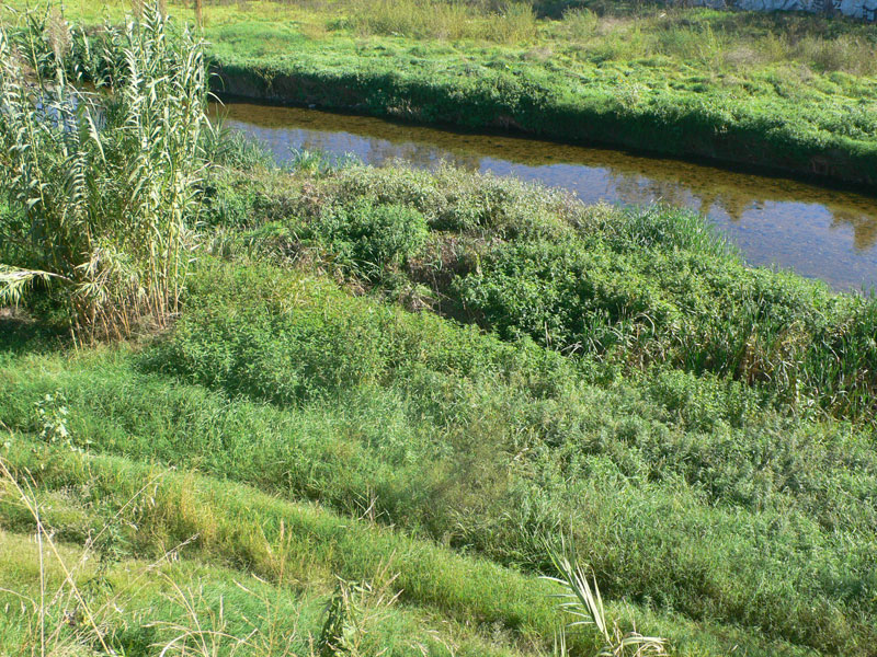 Tramo final del río Congost 