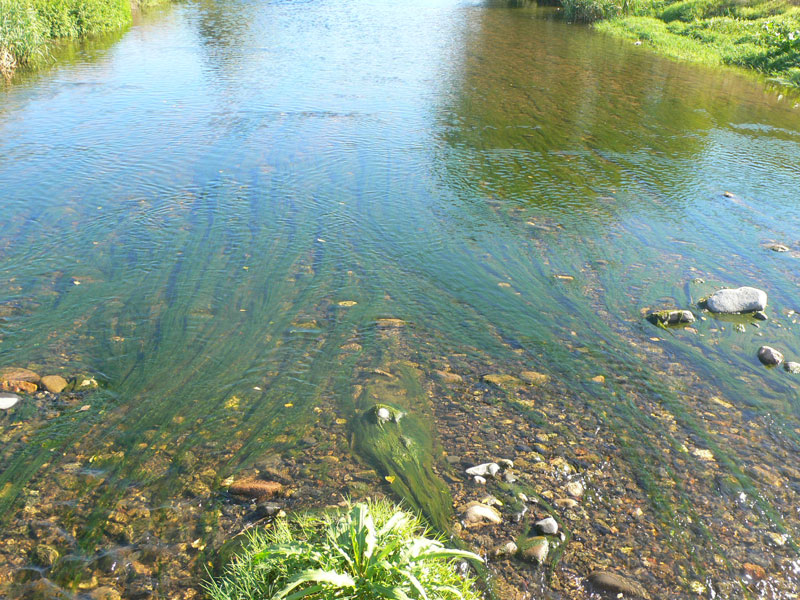 Cruzando un paso bajo del recién nacido río Besòs 