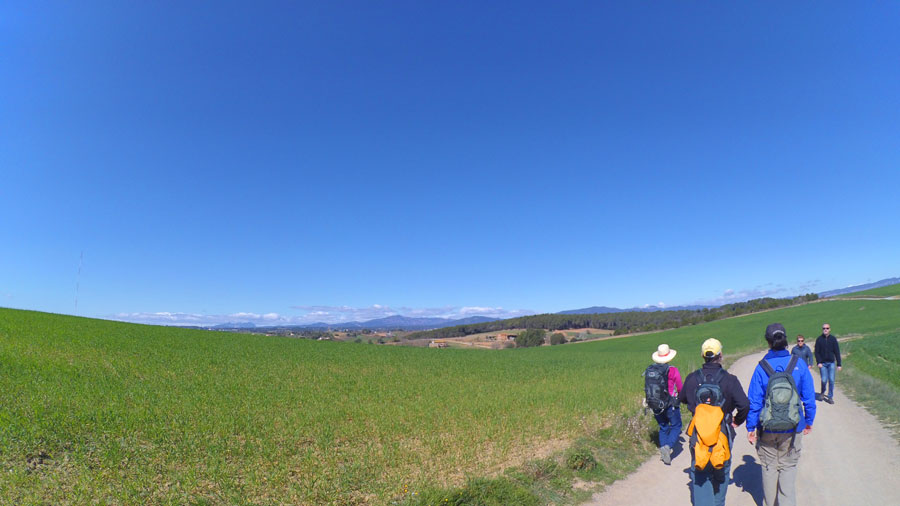 Por la pista rodeada de campos en dirección Torre d