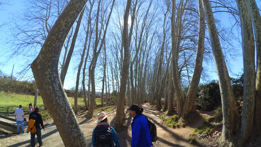 Camino del Caganell junto al torrente 