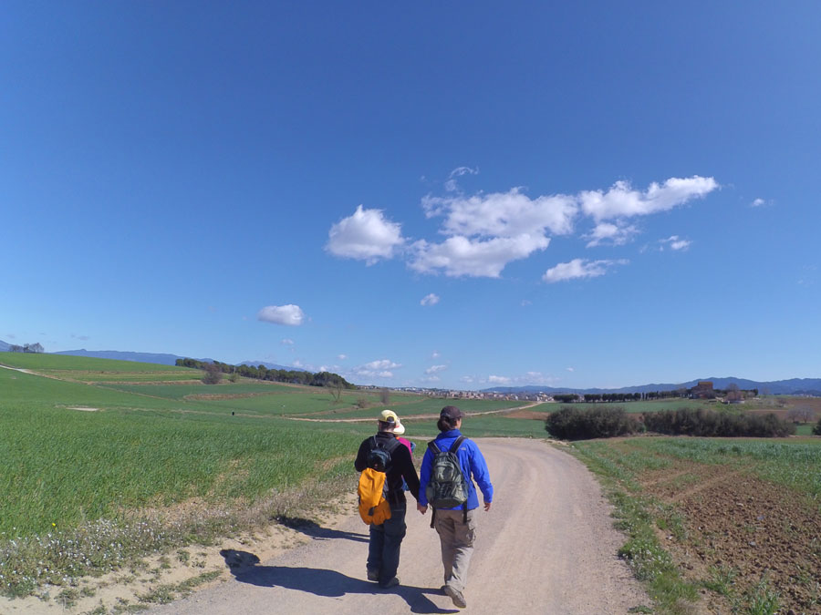 Pista de camino a Torre d