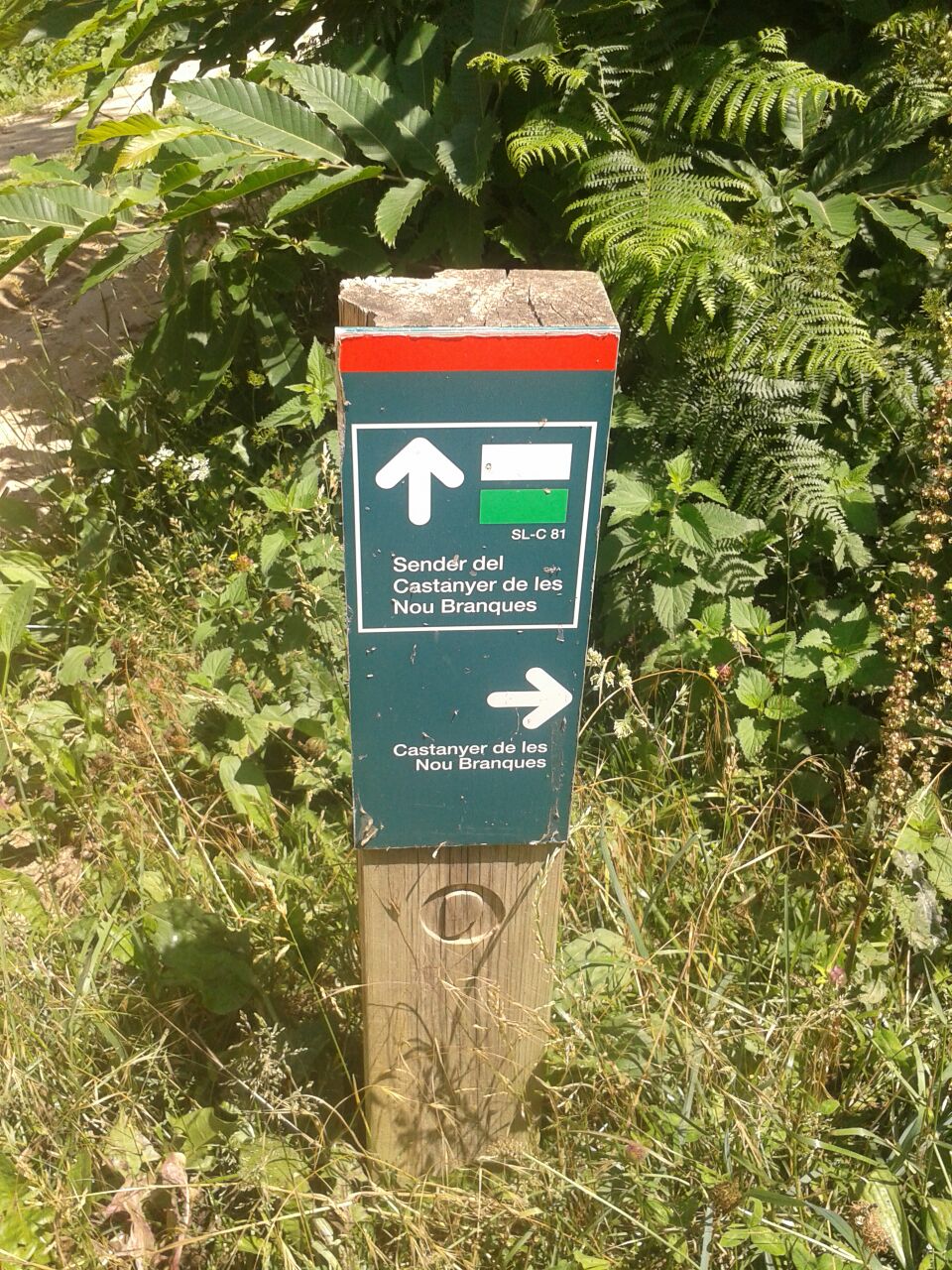 Poste indicador (la ruta está muy bien señalizada) 