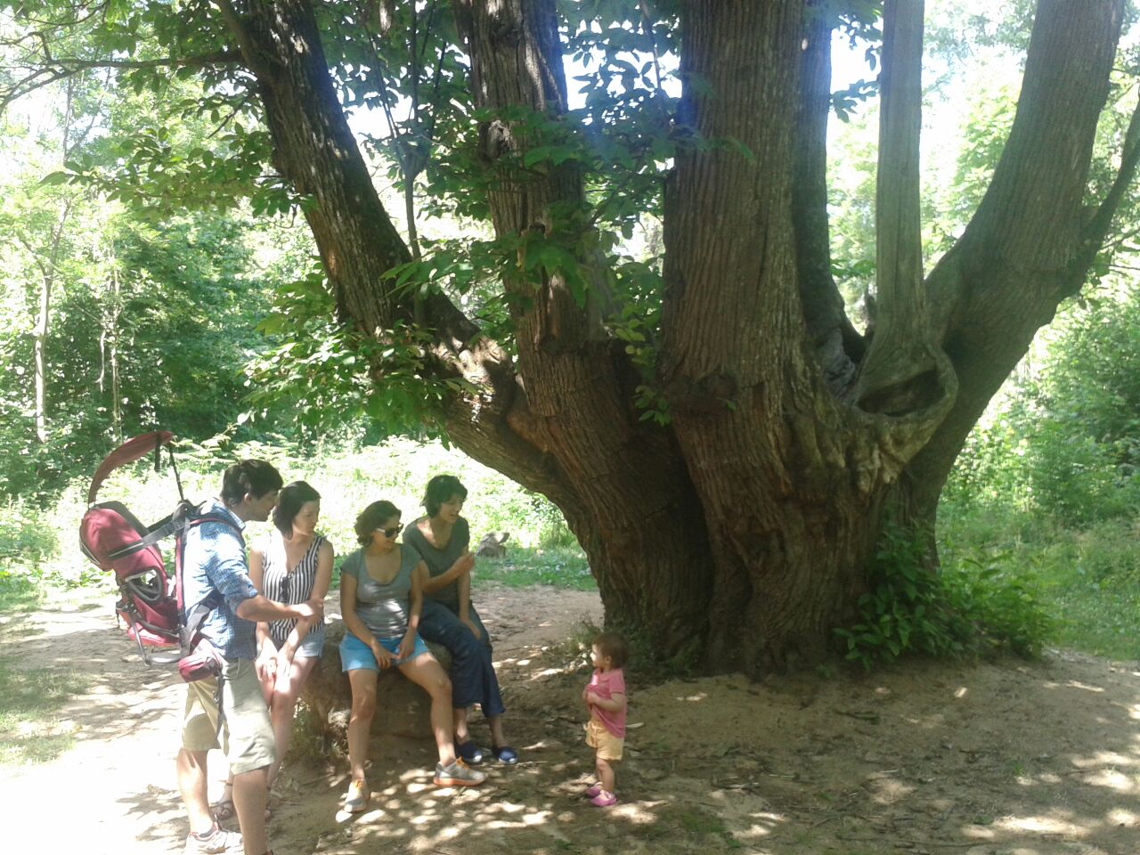 Descansando a la sombra del Castanyer de les 9 branques 