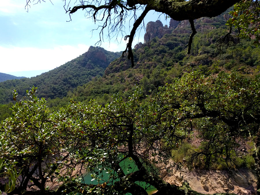 Vista a los órganos de Benitandus 