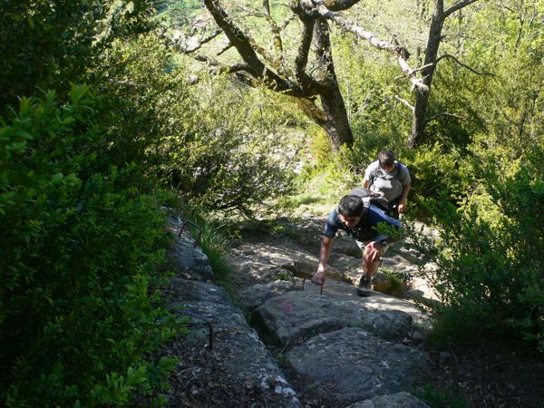 Pequeñas grapas nos facilitarán la subida especialmente si el terreno está mojado 