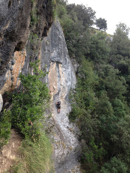 Empieza la vertical 