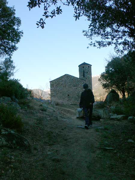En el camino de regreso 