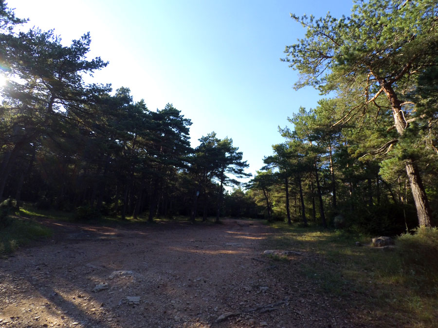 Llano donde estacionar en bosque de l’Agustenc 