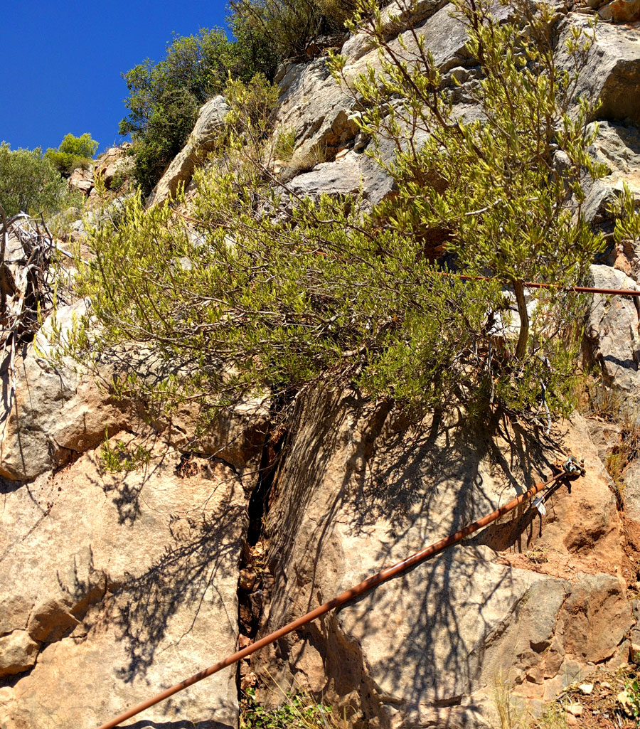 Detalle pasamanos inferior 