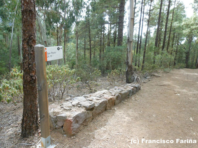 Camino de regreso 