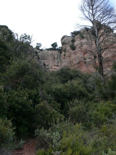Entrada a la Lucky Txei desde el camino. No hay indicaciones un pequeño sendero descompuesto sube por el bosque hasta la pared. La ferrata queda a la izquierda 