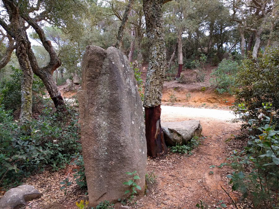 Menhir d’en Llach 