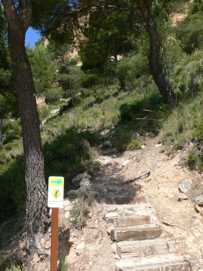 Desde el Mirador subimos por estas escaleras 