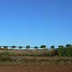 Globo aerostático sobrevolando el Plà de Bages / Ruta en Bici De Manresa a Barcelona por Sant Llorenç del Munt 