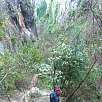 Continuamos bajando por el barranco de la Fuente / Ruta a pie Pasarelas del Vero 