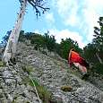 Encamp 