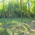 Sendero a pie para dar la vuelta a los estanques 