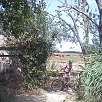 Ya dentro del parque / Ruta en Bici Aiguamolls de l