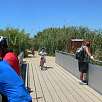 Puente que nos lleva al mirador del Delta / Ruta en Bici Collserola y el Delta del Llobregat 