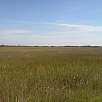 El río de hierba / Ruta en Bici Everglades | Shark Valley 