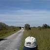 Cediendo el paso al Bus eléctrico del Shark Valley / Ruta en Bici Everglades | Shark Valley 