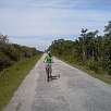 Camino hacia la torre observatorio / Ruta en Bici Everglades | Shark Valley 