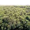 Vistas al sur desde la cima de la torre observatorio / Ruta en Bici Everglades | Shark Valley 