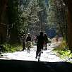 La vía es apta para todos y por su longitud (10km.) muy recomendable para hacer a pie / Ruta en Bici Vía Verde del Llobregat 