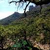 Vista a los órganos de Benitandus / Benitandus 