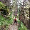 El sendero se vuelve algo más agreste / Camí del Gall 