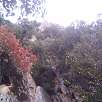 Inicio de la vía. Primeras grapas / Sant Vicenç d
