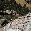 14 (© David Lopez Parra) / Gaucín | Sierra del Hacho 