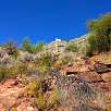 Indicador en los campos de olivos -itinerario 6 del Parque Natural del Montsant- / Grau de la Guineu 