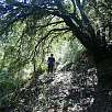 Entramos al camino de la canal de l Abella / Roca Petanta, el Mal Pas y la Mola 