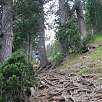 La subida continua fuerte seguimos las marcas de PR / Pedraforca | Cima del Calderer 