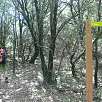 En este desvío al Huevo nosotros seguimos un pequeño sendero entre el bosque a la izquierda no hacia el Huevo / Peña San Cosme 