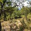 Caminamos por el bosque en busca de la segunda parte / Puente de Vadillos 