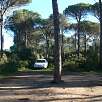 Estacionamiento junto a la GIV-6612. No dejar nada de valor en el coche ha habido varios robos / Gorges de Salenys 
