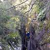 Paso encajonado en el Pou de Gorges / Gorges de Salenys 