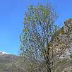 Vista general de la cantera por la que sube la vía / Sesué | Castellaso 