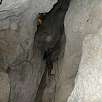 Subiendo por la cueva (© Carlos Cordero) / Thaurac 