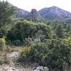 El Tormo de la Margarida visto desde Tivissa / Tormo de la Margarida 