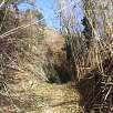 Entrada entre las cañas / Torrent dels Abadals 