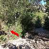 Aquí cogemos el camino de la izquierda / Torrent Fondo 