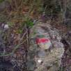 Seguimos la marcas rojas / Torrent del Pont 