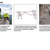 Consejos de Petzl para avanzar por una vía ferrata con niños ©Petzl / Blog · Los disipadores 